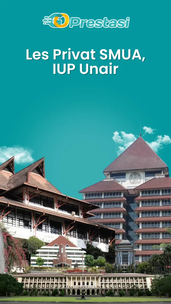 Les Privat SMUA, IUP Unair (1)